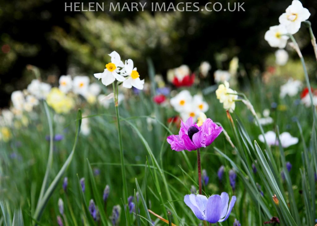 You are currently viewing A perfect day for family portrait photography at a Cheshire Christening